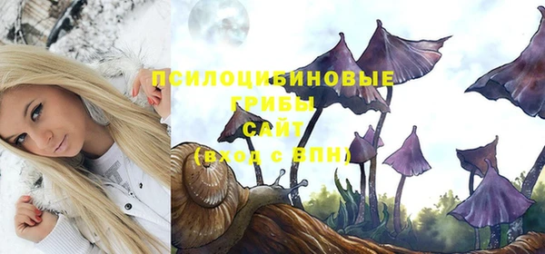 гашик Верхний Тагил