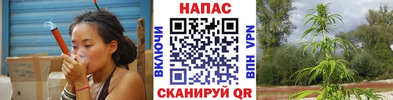 магазин  наркотиков  Лодейное Поле  Бошки Шишки Ganja 